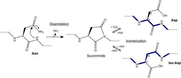 Base Oil Hydrotreating process